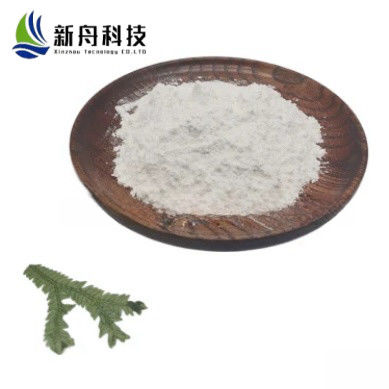 Pharmaceutical Raw Materials Anti-Tumor CAS 1110813-31-4 Dacomitinib Powder